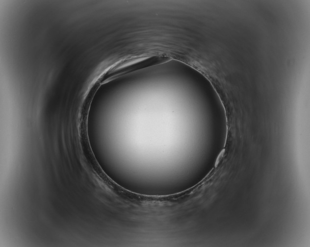 X0000085790242200703301457