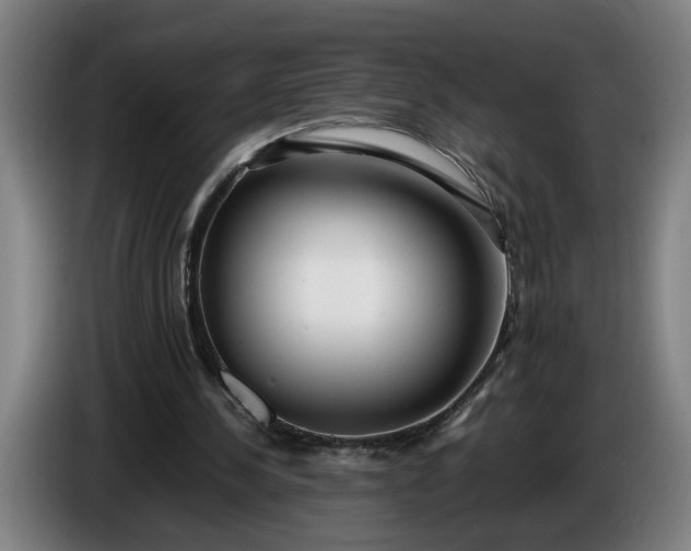 X0000085790244200703301457
