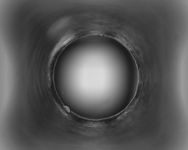 X0000085790245200703301457