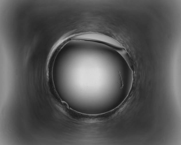 X0000085790246200703301457