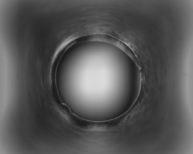 X0000085790248200703301457