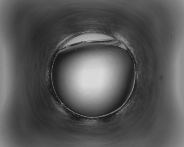 X0000085790249200703301457