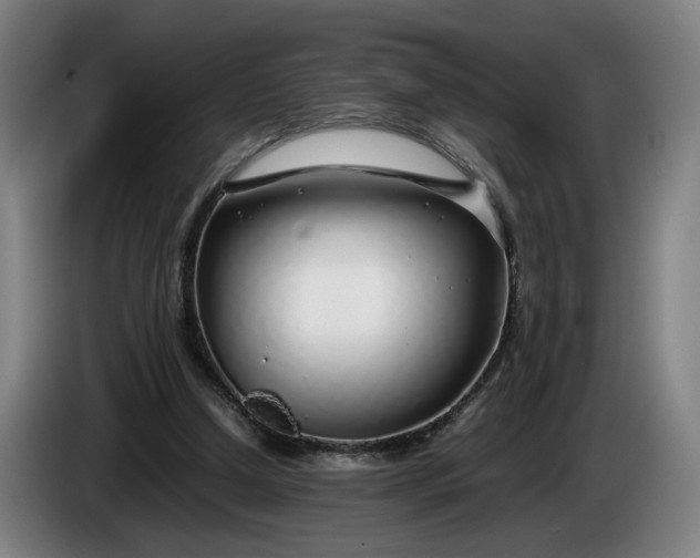 X0000085790250200703301457