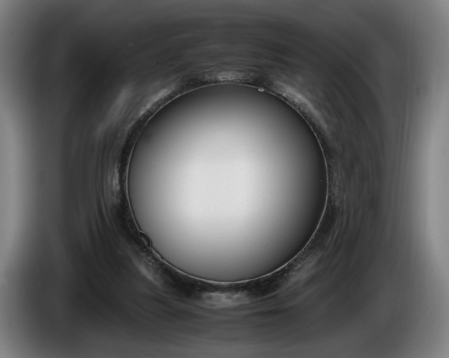 X0000085790251200703301457