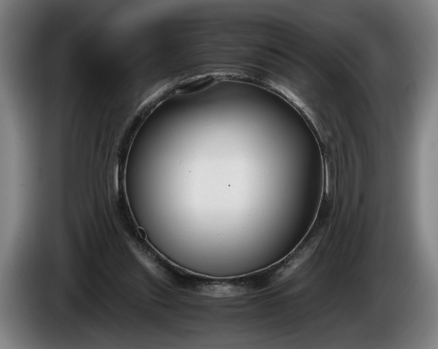 X0000085790253200703301457