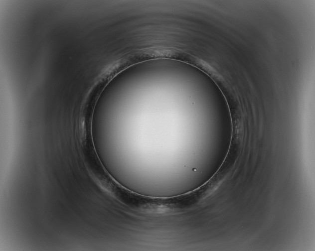 X0000085790254200703301457
