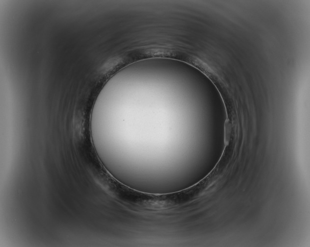 X0000085790255200703301457