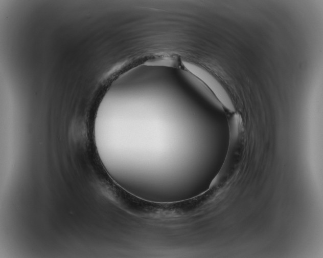 X0000085790256200703301458