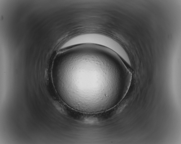 X0000085790258200703301458