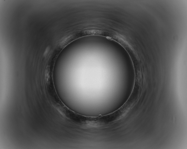 X0000085790259200703301458