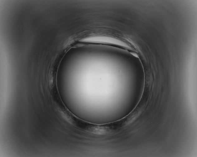 X0000085790261200703301458