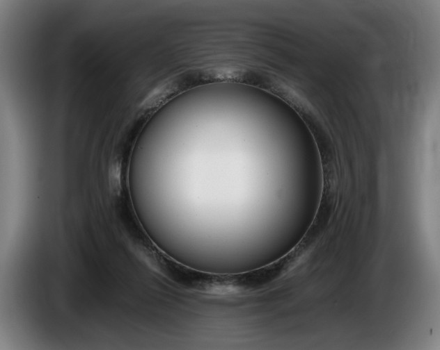 X0000085790262200703301458