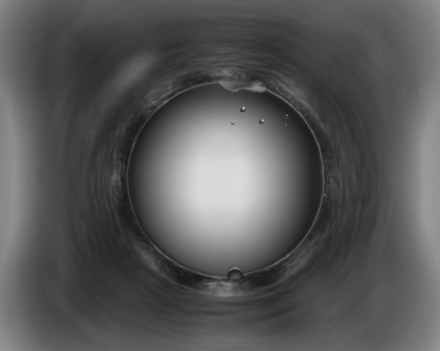 X0000085790265200703301458