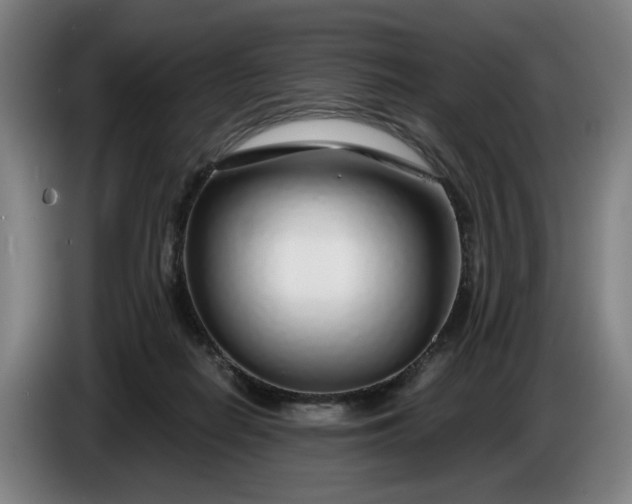X0000085790266200703301458