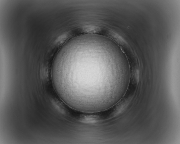 X0000085790268200703301458