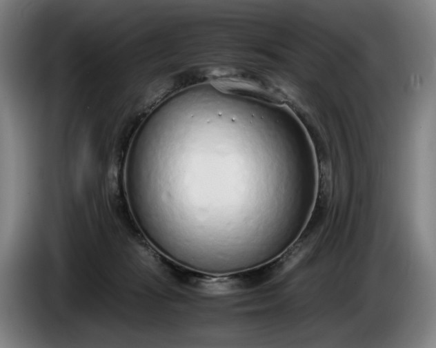 X0000085790269200703301458