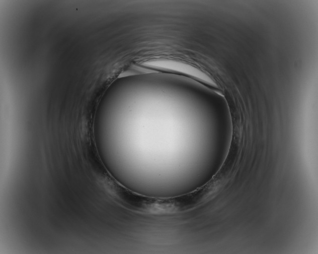 X0000085790270200703301458