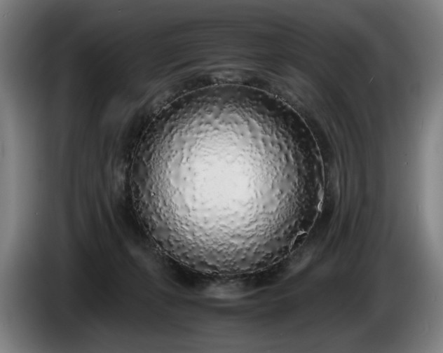 X0000085790271200703301458