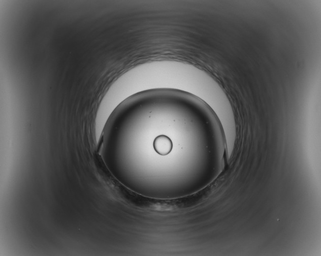 X0000085790272200703301458