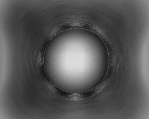 X0000085790273200703301458