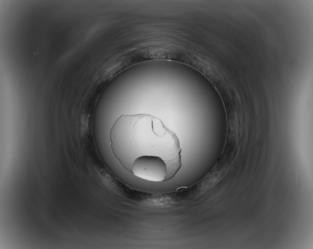 X0000085790278200703301458