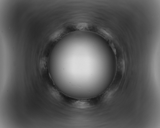 X0000085790280200703301458