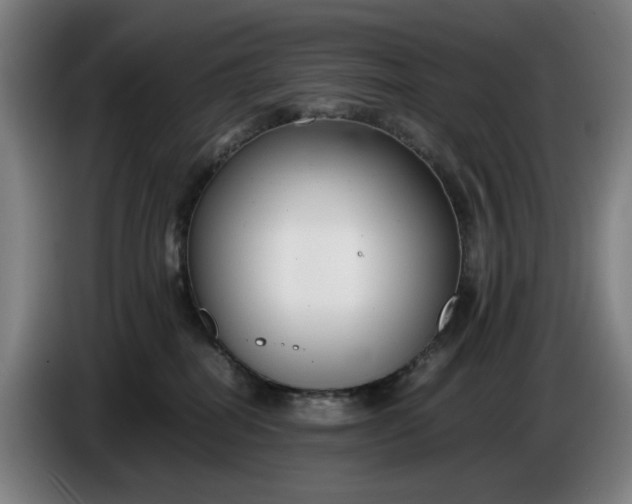 X0000085790282200703301458