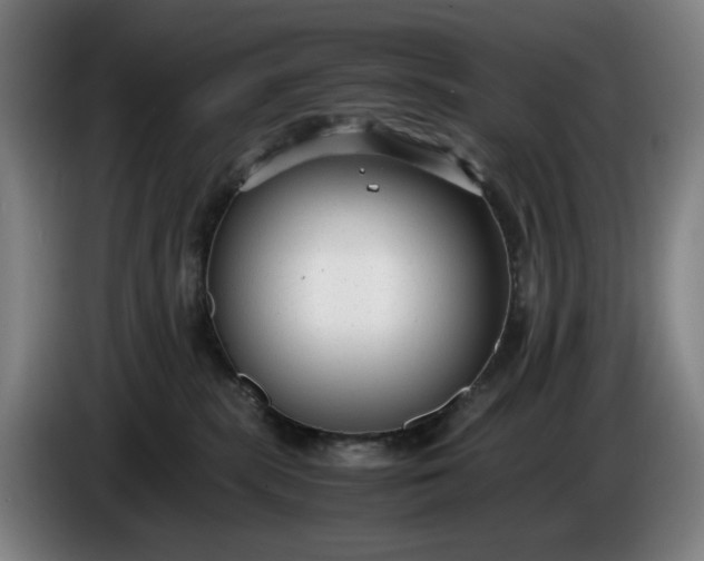 X0000085790283200703301458