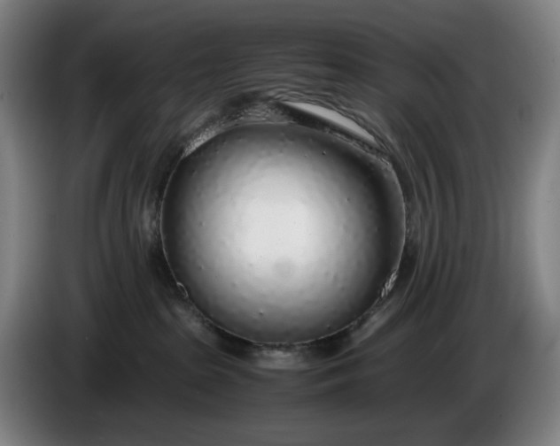 X0000085790285200703301458