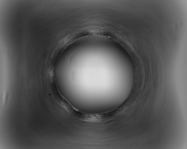X0000085790288200703301458