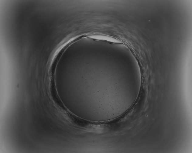 X0000085790295200703301457