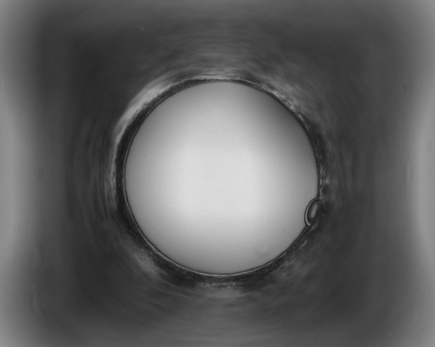 X0000085790296200703301457