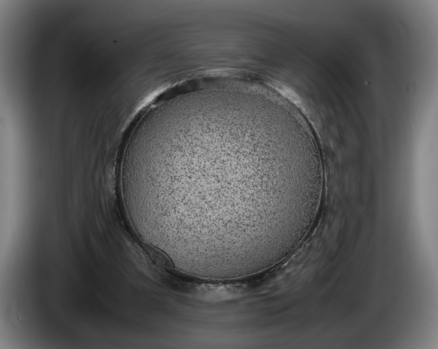 X0000085790297200703301457
