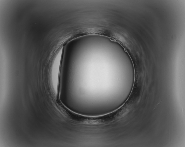 X0000085790299200703301457