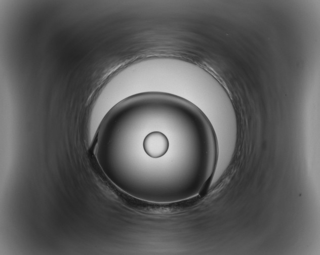 X0000085790301200703301457
