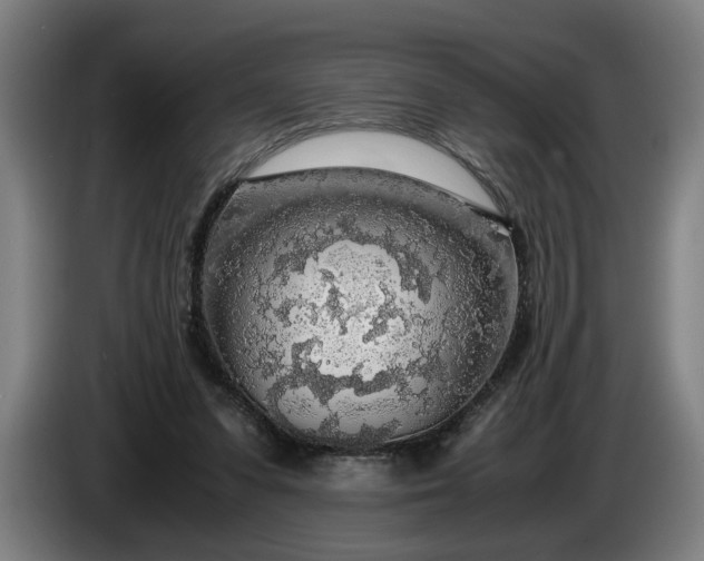 X0000085790303200703301457