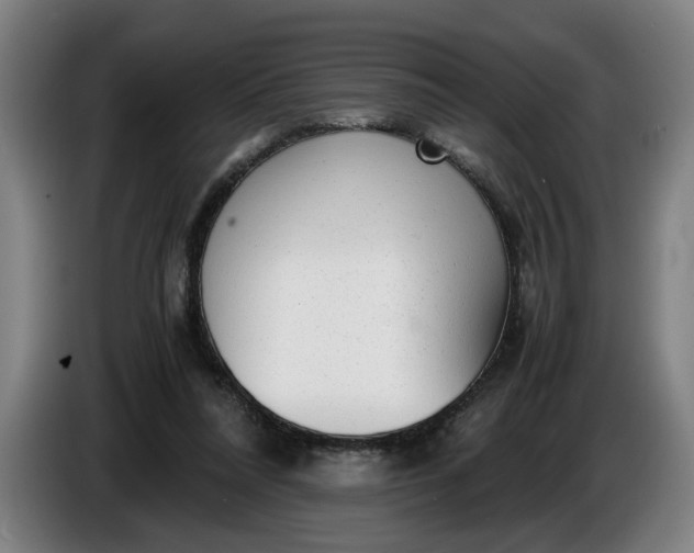 X0000085790304200703301457