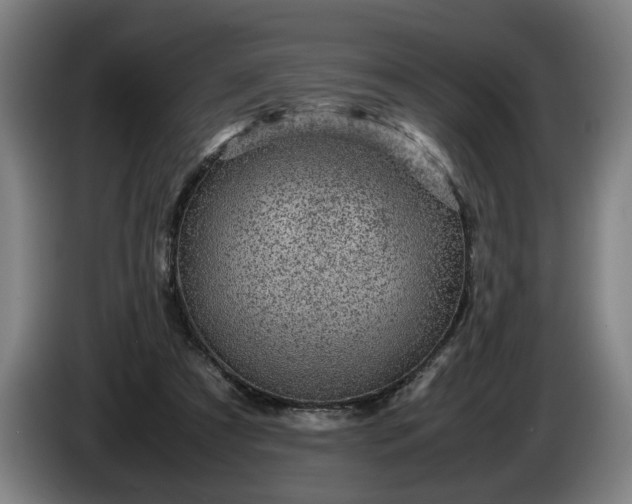 X0000085790305200703301457