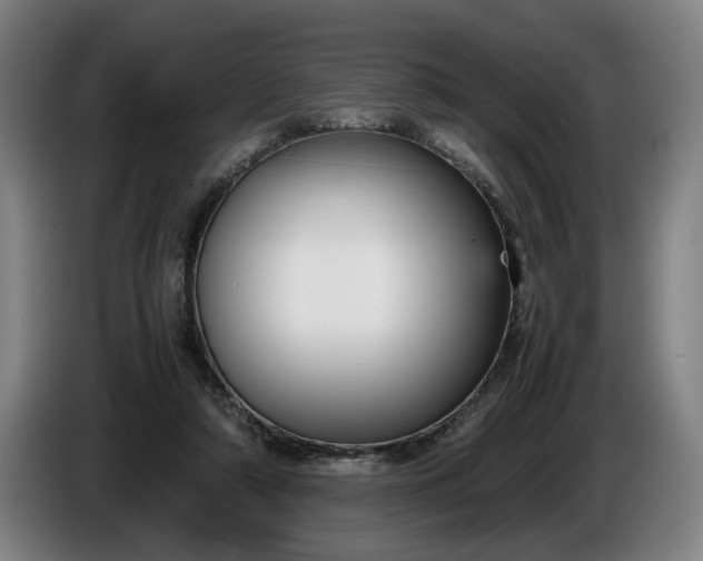 X0000085790306200703301457