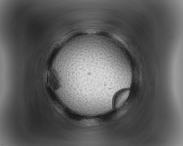 X0000085790307200703301457