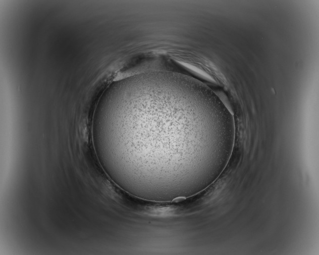 X0000085790313200703301457