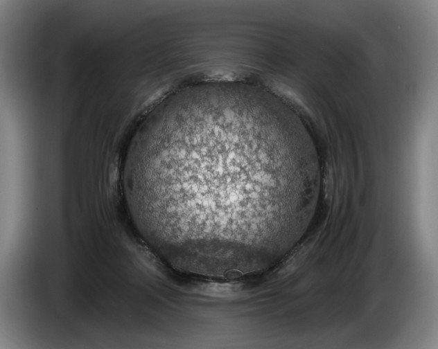 X0000085790314200703301457
