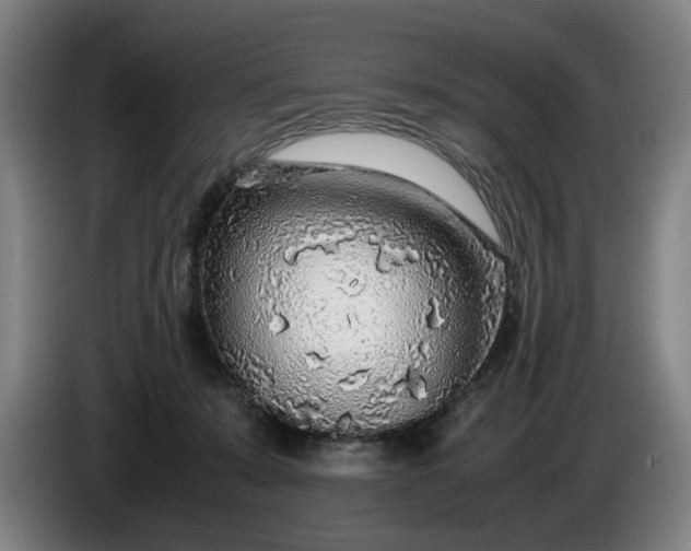 X0000085790319200703301457