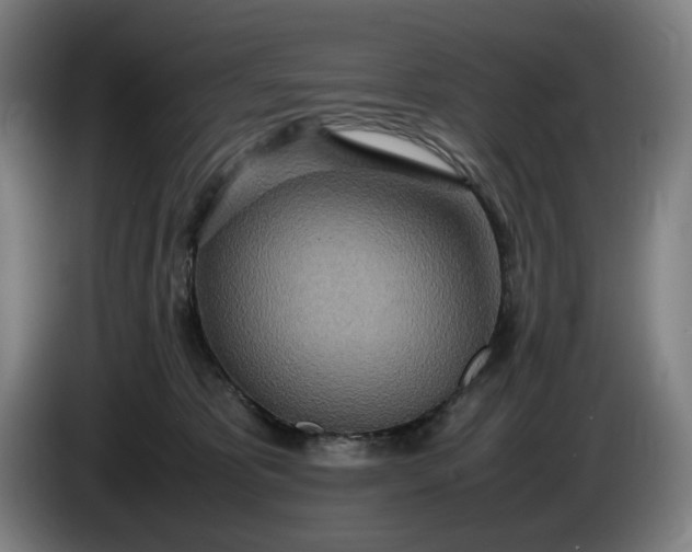 X0000085790325200703301457