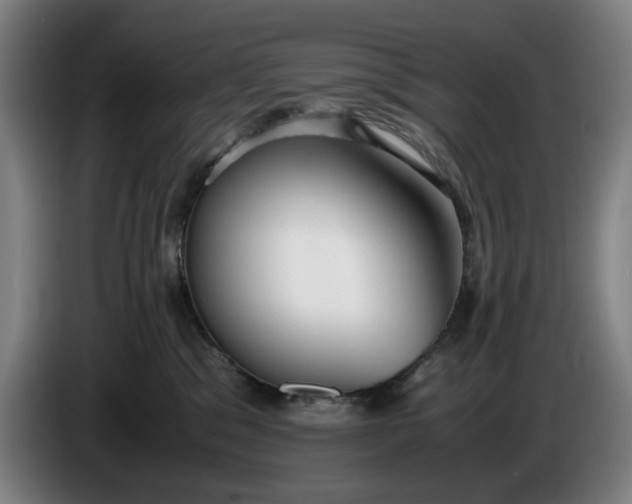 X0000085790329200703301457