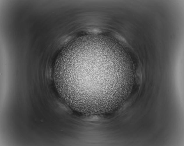 X0000085790330200703301457