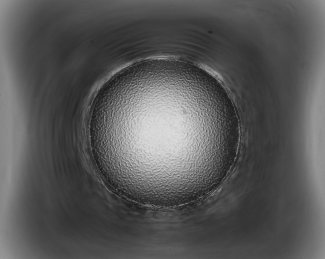 X0000085790337200703301456