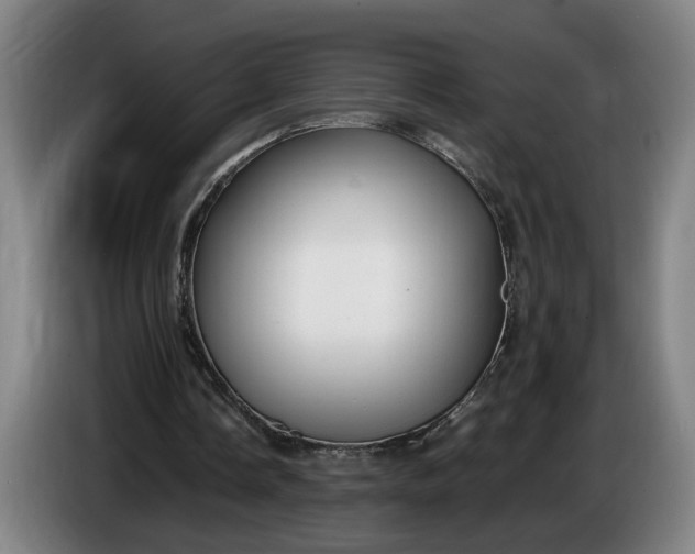 X0000085790338200703301456