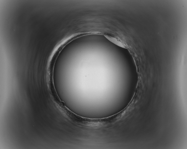 X0000085790342200703301456