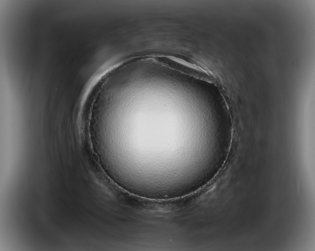 X0000085790343200703301456